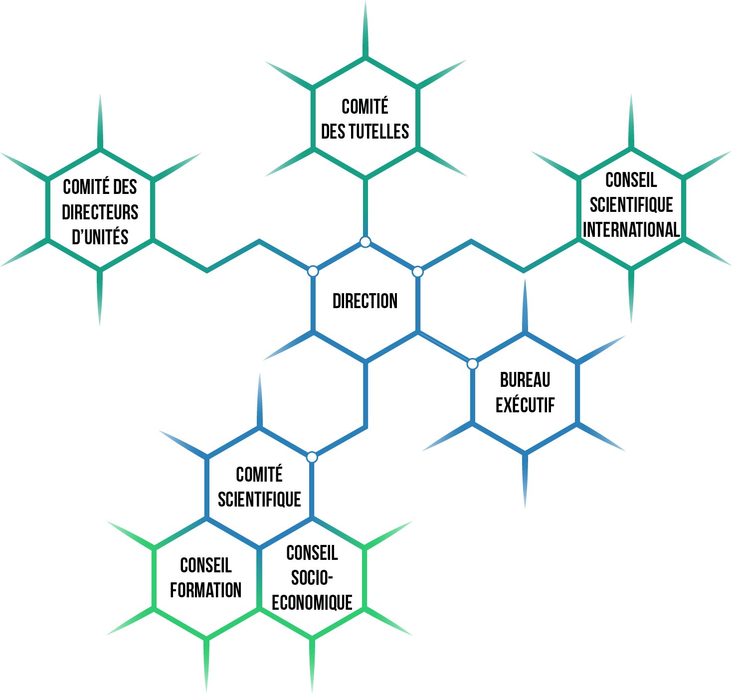 organigramme cellules v2